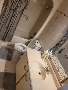 BIG ROOMS FOR RENT SCARBOROUGH FEMALE ONLY - Photo 3