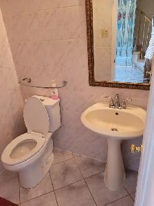 BIG ROOMS FOR RENT SCARBOROUGH FEMALE ONLY - Photo 4