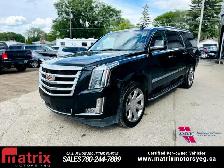 2019 Cadillac Escalade ESV 4WD 4dr Premium Luxury - Photo 14