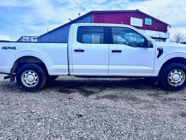 2022 Ford F-150 XL 4WD SuperCrew 5.5' Box - Photo 4