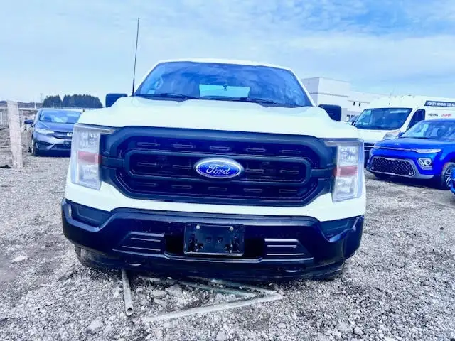 2022 Ford F-150 XL 4WD SuperCrew 5.5' Box - Photo 9