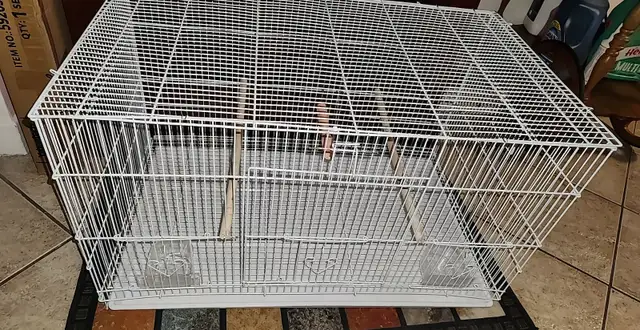 QUELQUES PINSONS DE DISPONIBLE AVEC CAGES ET ACCESSOIRES OU NON - Photo 10