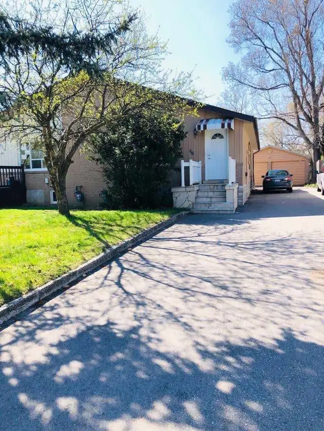 Upscaled 3-Bedroom Home  in the Heart of Brampton - Photo 9