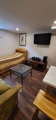 Studio Apartment for Rent on Bus Route, next to Park! - Photo 2