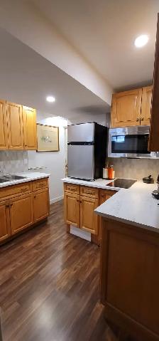 Studio Apartment for Rent on Bus Route, next to Park! - Photo 3