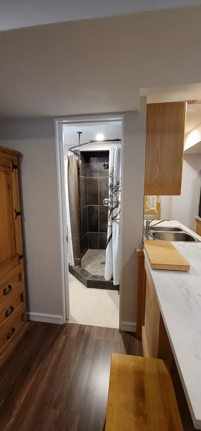 Studio Apartment for Rent on Bus Route, next to Park! - Photo 5