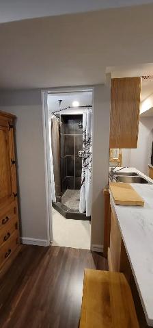 Studio Apartment for Rent on Bus Route, next to Park! - Photo 5