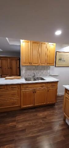 Studio Apartment for Rent on Bus Route, next to Park! - Photo 10