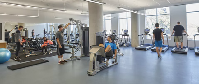 1 bed 1 bath at UofT dorm, Downtown Toronto for rent - Photo 8