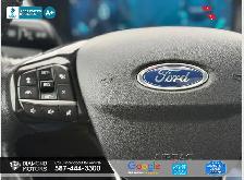 2021 Ford Escape Titanium - No Accidents - Leather - Photo 16