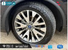 2021 Ford Escape Titanium - No Accidents - Leather - Photo 38