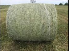 grass hay for sale - Photo 2