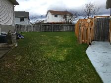 Spacious Split Level Apartment Totally Self Contained & Private - Photo 10