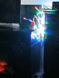 lumière d extérieur décoration