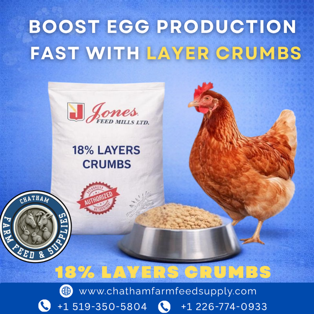 18% Layer Crumbs – Strong Eggs & Healthy Hens!