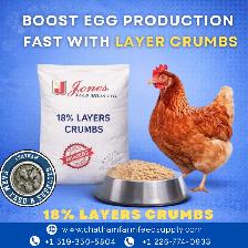 18% Layer Crumbs – Strong Eggs & Healthy Hens!