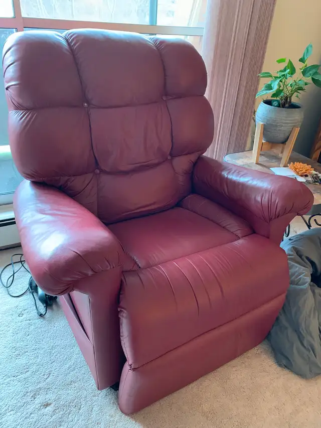 Power Leather Recliner