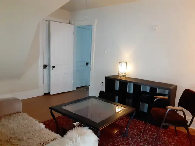 Furnished Apt Downtown - Photo 2