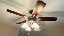 Ceiling fan / Light