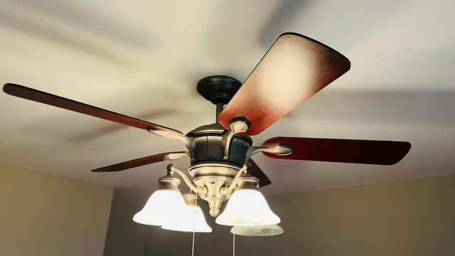 Ceiling fan / Light - Photo 2