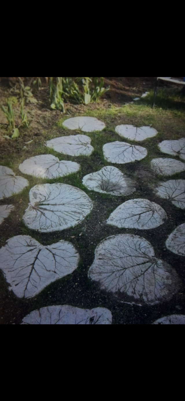 Home outdoor - Photo 3