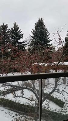 1 BED   1 BATH Condo for rent - Photo 9