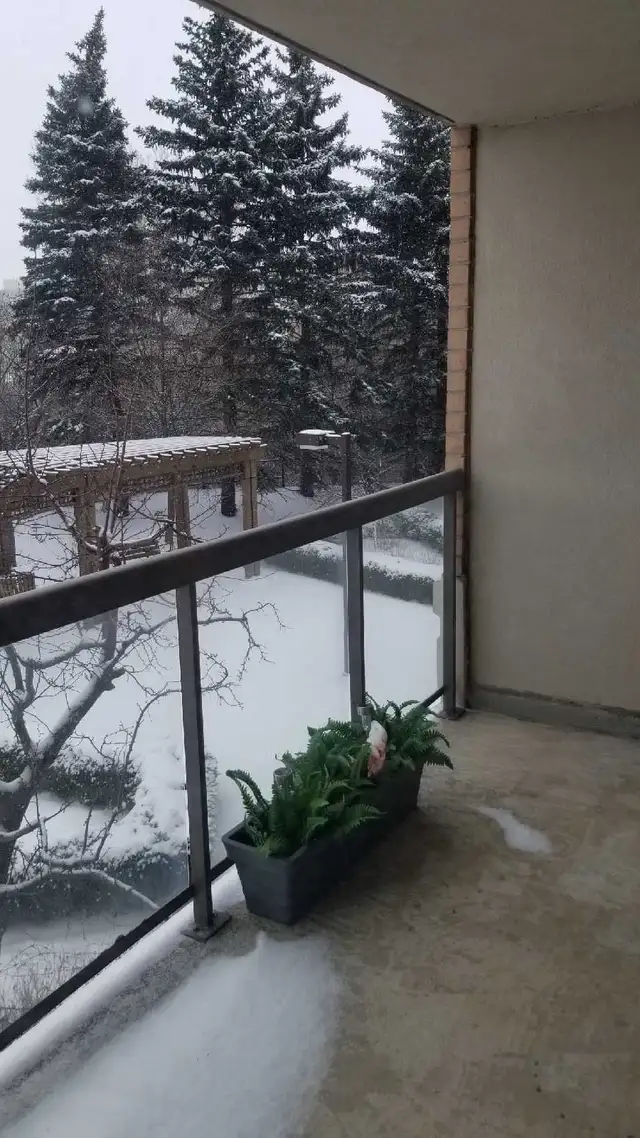 1 BED   1 BATH Condo for rent - Photo 10