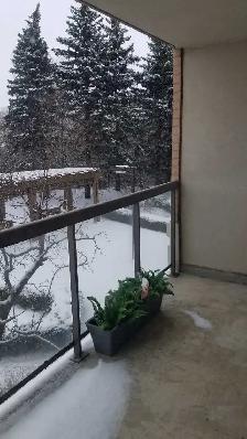 1 BED   1 BATH Condo for rent - Photo 10