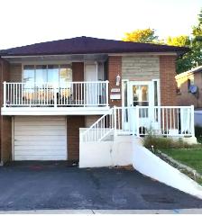 2 Bedroom Walkout Basement for rent in Malton, Mississauga.
