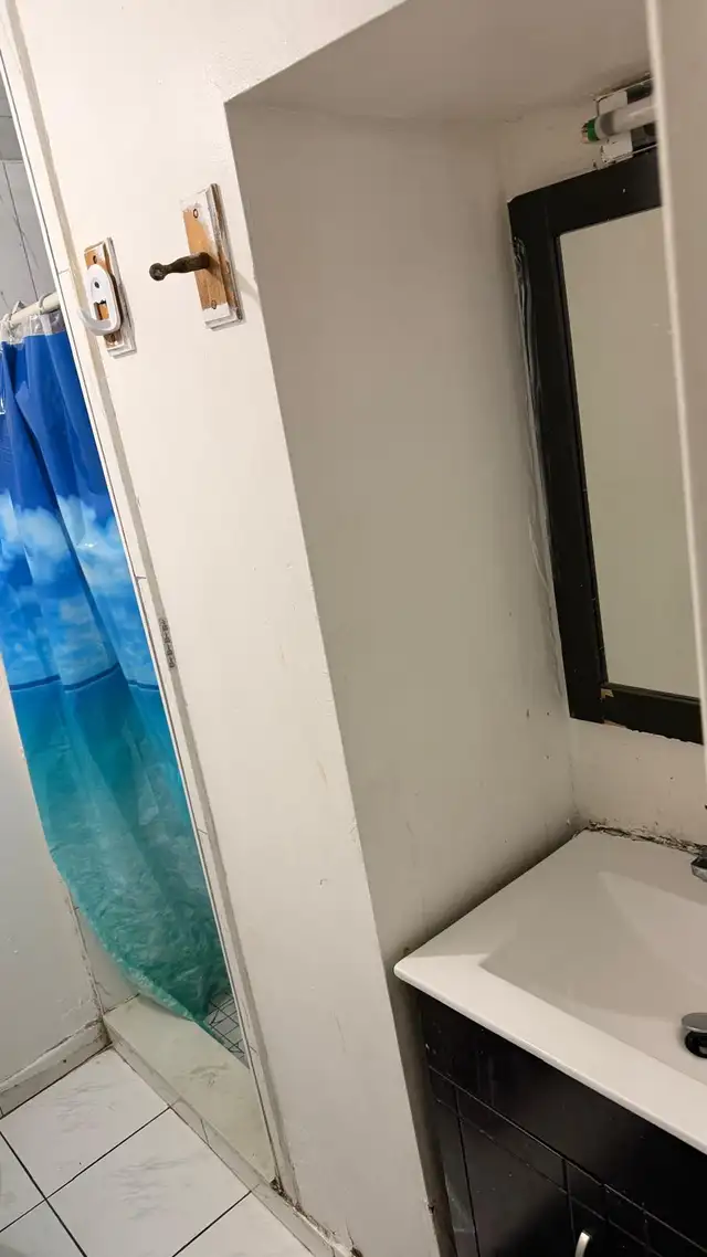 2 Bedroom Walkout Basement for rent in Malton, Mississauga. - Photo 8