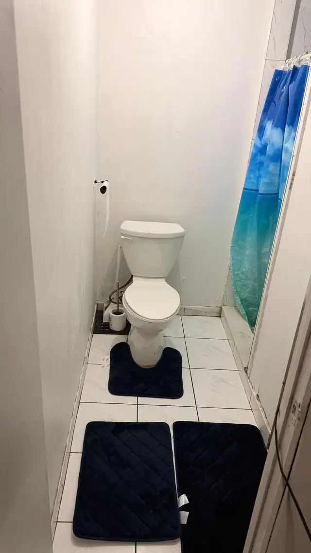 2 Bedroom Walkout Basement for rent in Malton, Mississauga. - Photo 9