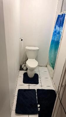 2 Bedroom Walkout Basement for rent in Malton, Mississauga. - Photo 9