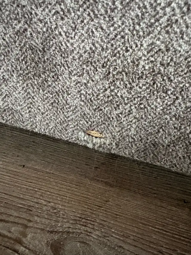 Couch & Loveseat Set - Photo 3