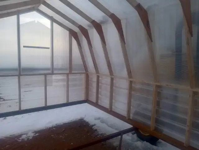 Greenhouse - Photo 4