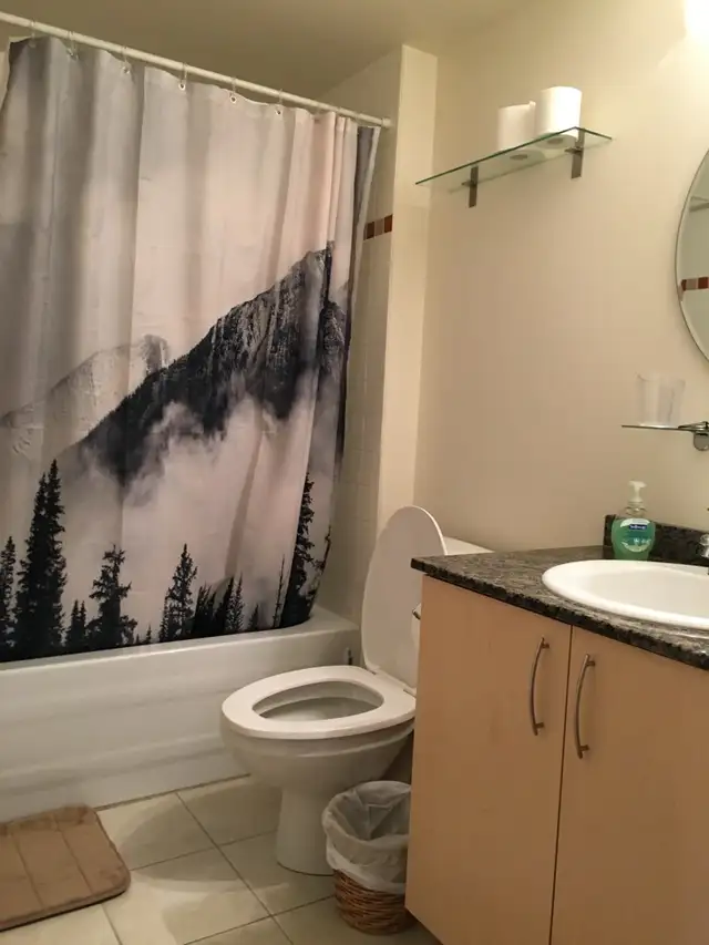 Appartement à louer (Montréal) - Photo 6