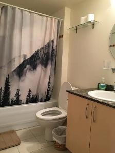 Appartement à louer (Montréal) - Photo 6