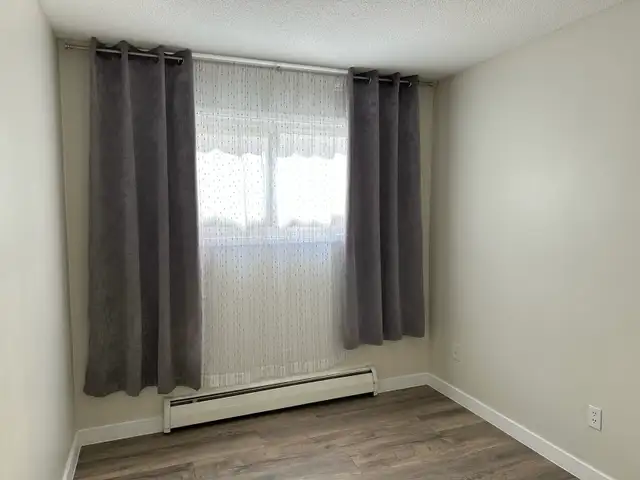 FOR RENT 1 & 2 Bd Apartment 11916 105 St Edmonton - Photo 2
