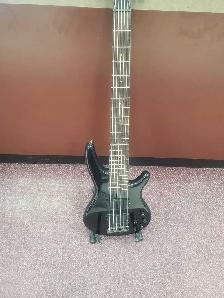 sdgr 6 string bass guitar
