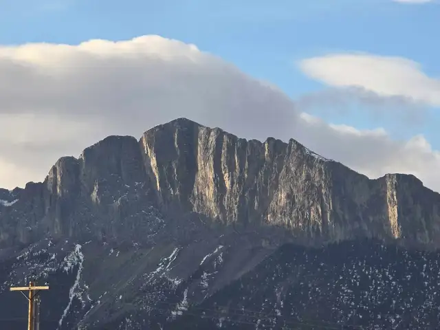 skilled labourer looking for cash work.