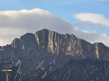 skilled labourer looking for cash work.