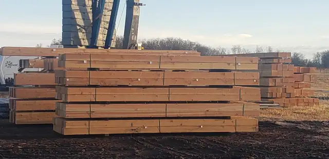 Timber Sales - Photo 4