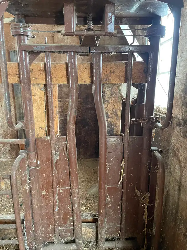 Cattle head gate half price $525