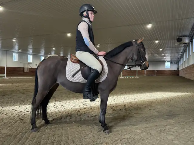 Fantastic Kids Pony - Photo 2