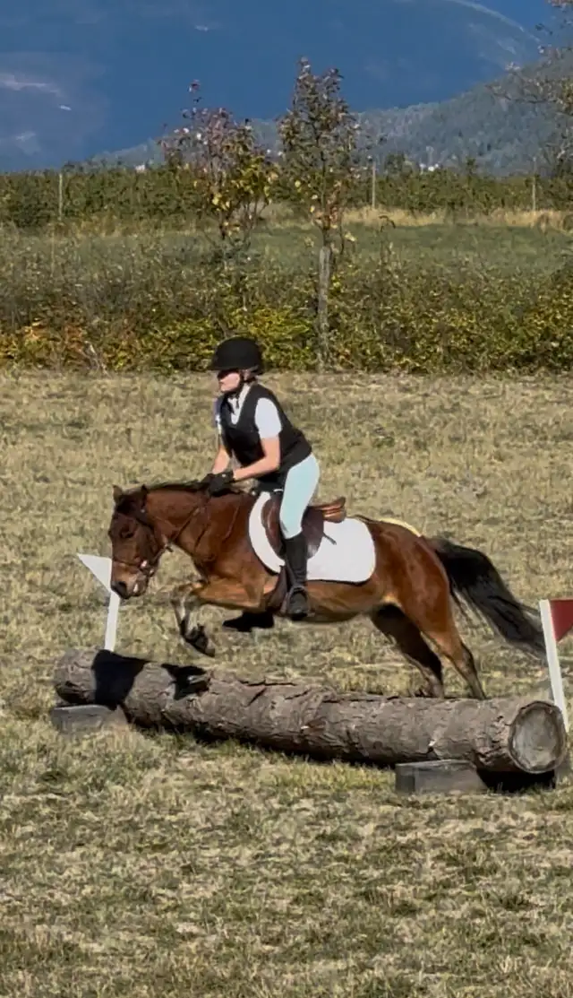 Fantastic Kids Pony - Photo 8