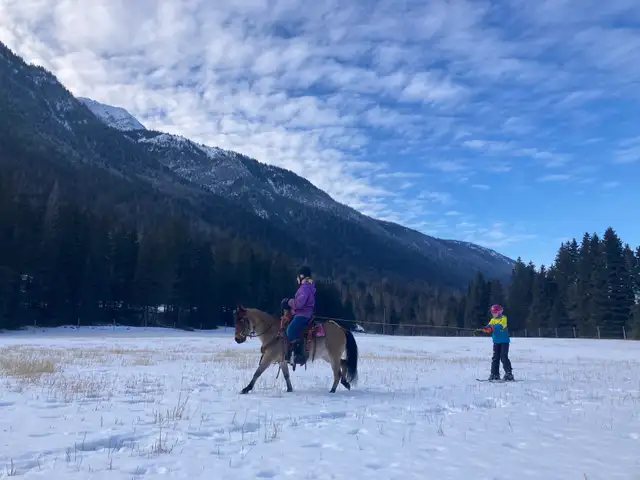 Fantastic Kids Pony - Photo 9
