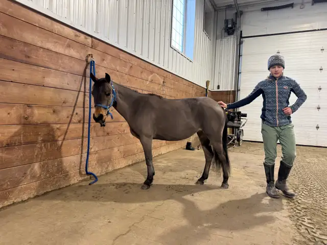 Fantastic Kids Pony - Photo 10