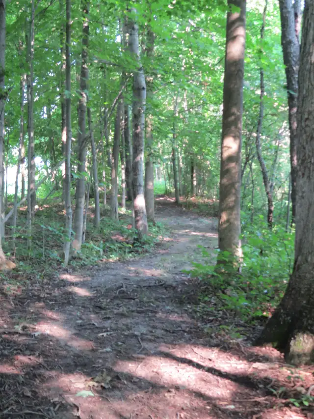 Horse Board - Stall Available - Photo 3