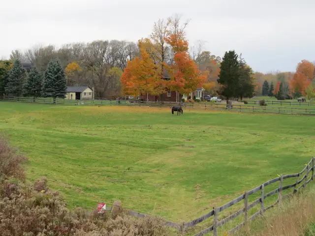 Horse Board - Stall Available - Photo 4