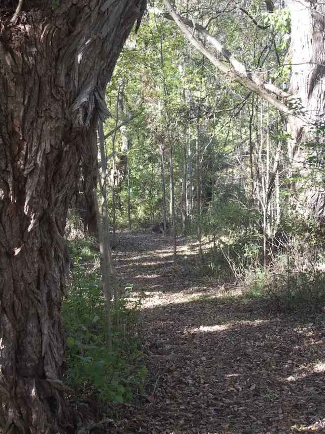 Horse Board - Stall Available - Photo 5