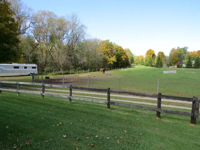 Horse Board - Stall Available - Photo 6
